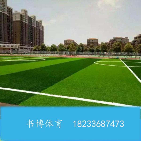 内蒙围网系列 呼市围网生产厂家 球场围网家好