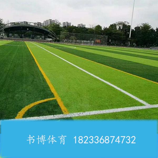 呼市人造草坪养护 内蒙古人造草坪厂 人造草坪种类