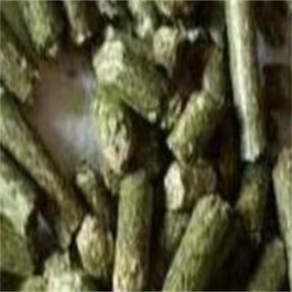芦苇苜蓿颗粒