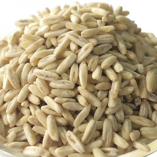 有机燕麦米、全胚芽燕麦米、内蒙古燕麦 500g*5袋  贴牌加工 一件代发