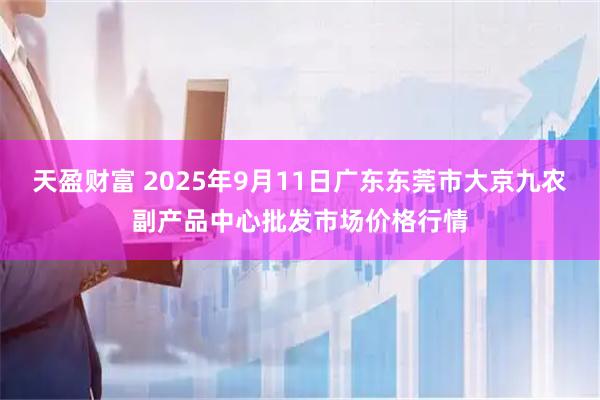 天盈财富 2025年9月11日广东东莞市大京九农副产品中心批发市场价格行情