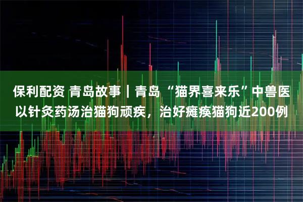 保利配资 青岛故事|青岛 “猫界喜来乐”中兽医以针灸药汤治猫狗顽疾,治好瘫痪猫狗近200例