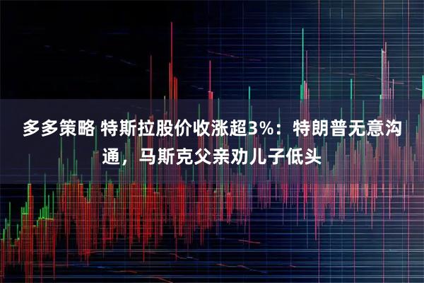 多多策略 特斯拉股价收涨超3%：特朗普无意沟通，马斯克父亲劝儿子低头