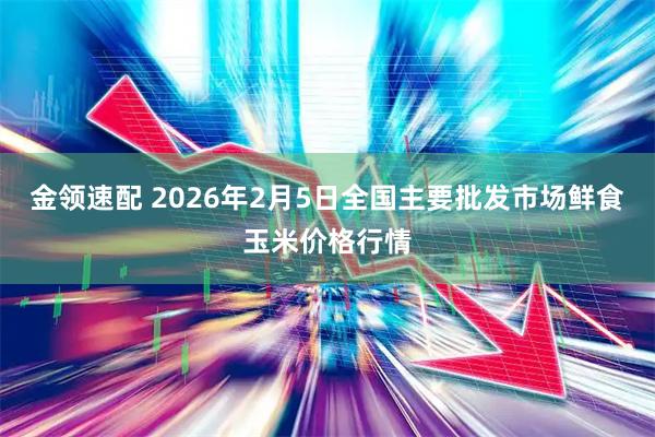 金领速配 2026年2月5日全国主要批发市场鲜食玉米价格行情