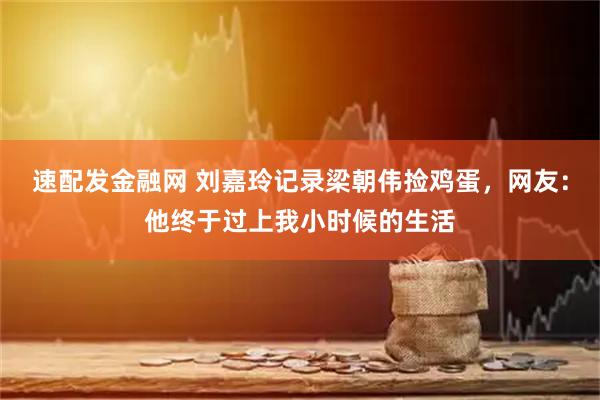 速配发金融网 刘嘉玲记录梁朝伟捡鸡蛋，网友：他终于过上我小时候的生活